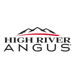 High River Angus